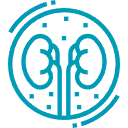 Procedimientos rápidos