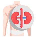 medico-nefrologo-naucalpan-precio